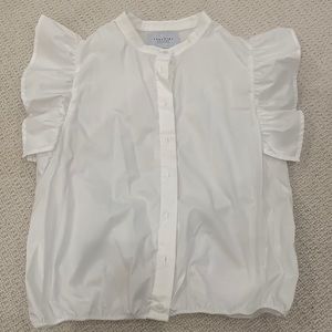 The Shirt by Rochelle Behrens top